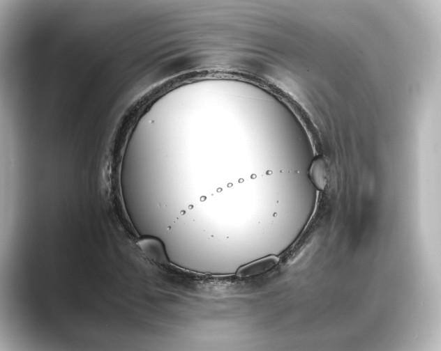 X0000089400971200706221114