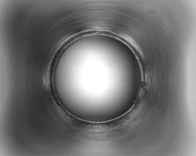 X0000089400972200706221114