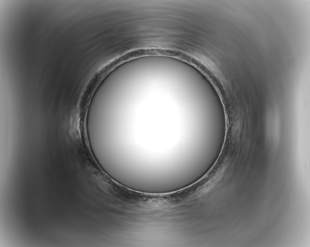 X0000089400974200706221114