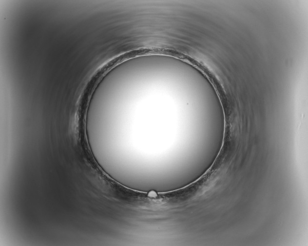 X0000089400975200706221114