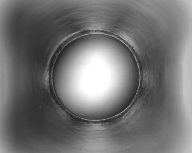 X0000089400976200706221114