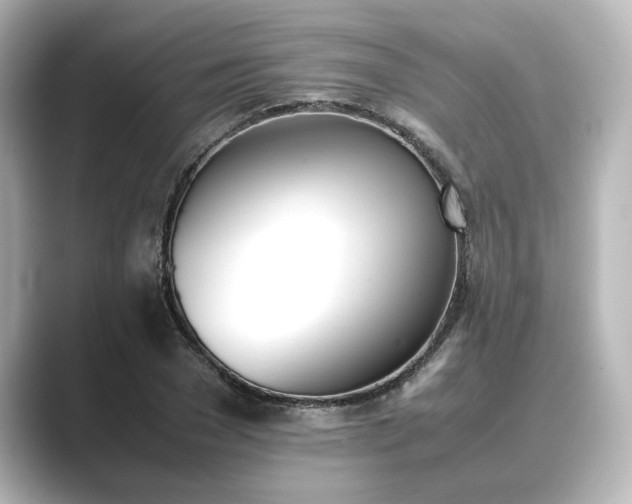 X0000089400977200706221114