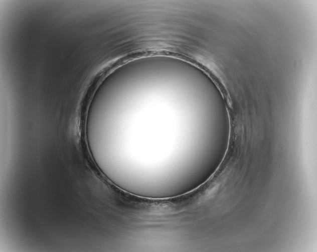 X0000089400979200706221114