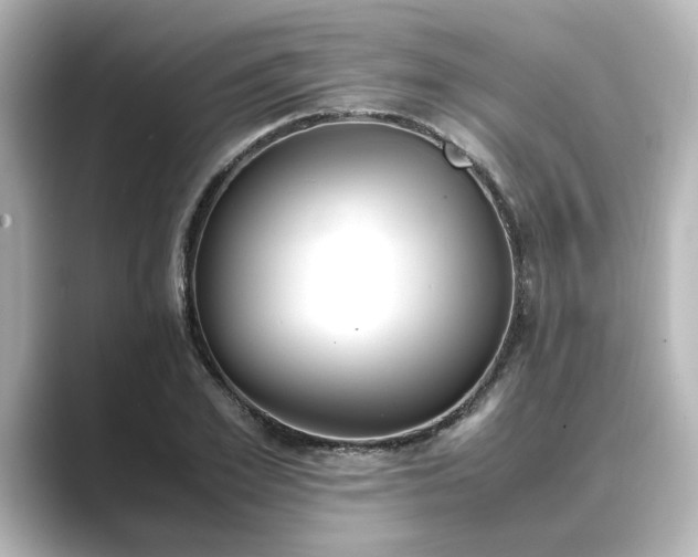 X0000089400981200706221114