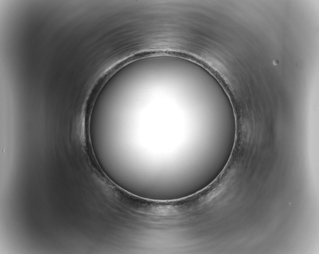 X0000089400982200706221114