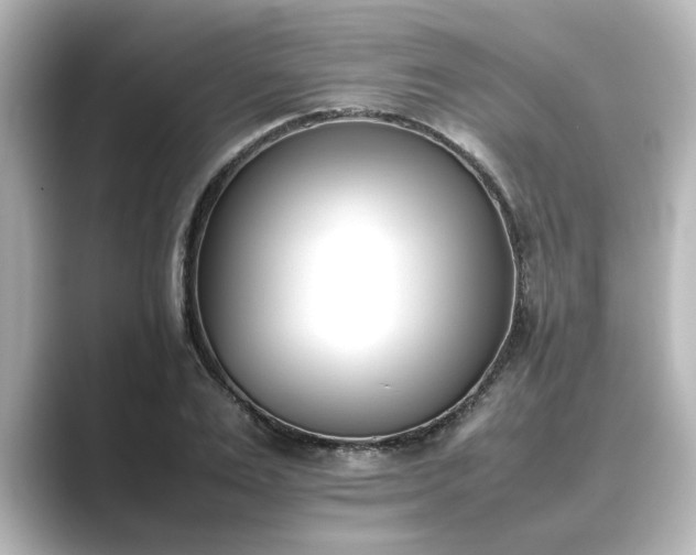 X0000089400983200706221114