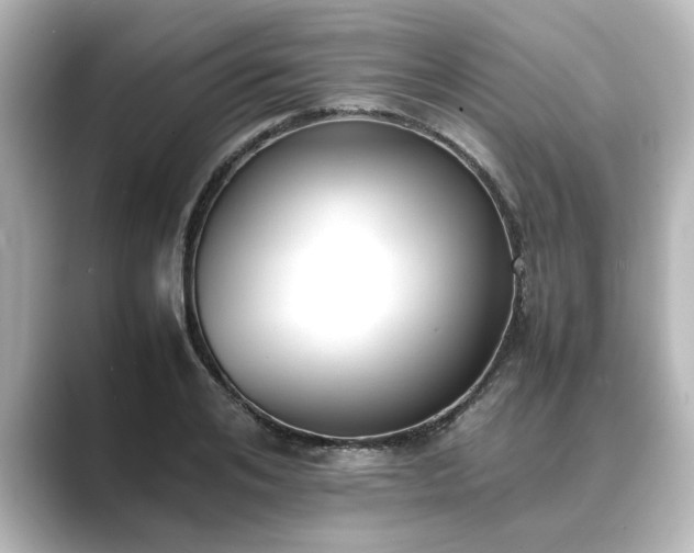 X0000089400984200706221114