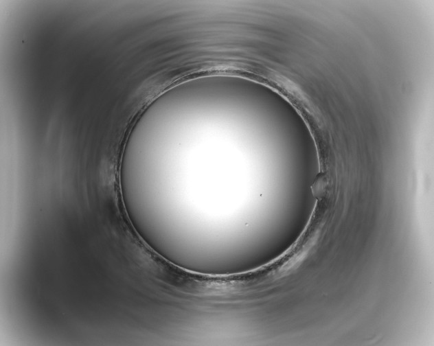 X0000089400985200706221114