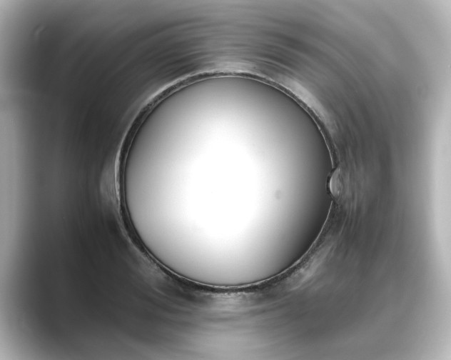 X0000089400988200706221114