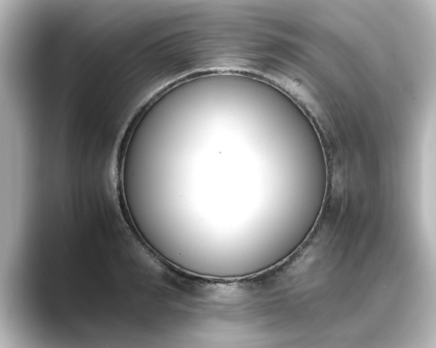 X0000089400990200706221114