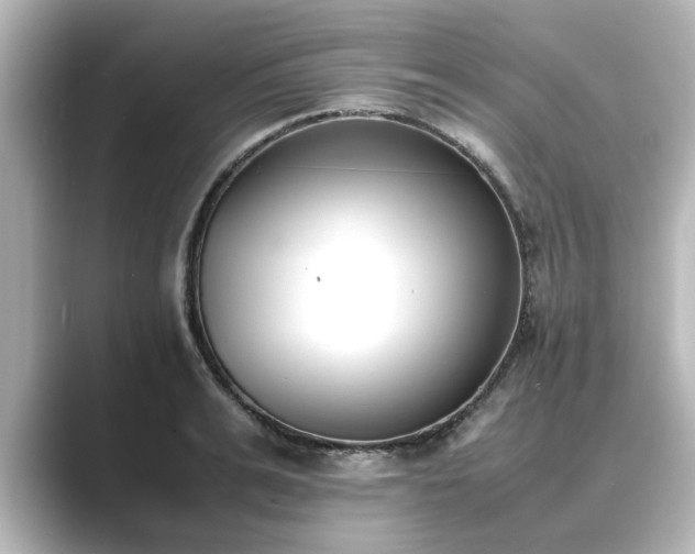 X0000089400991200706221114