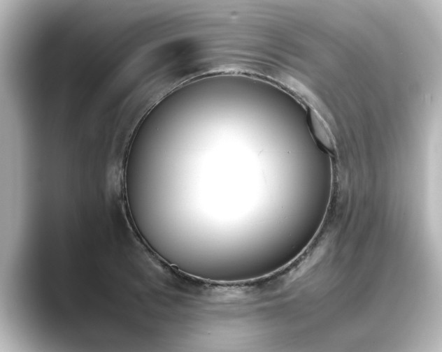 X0000089400993200706221114