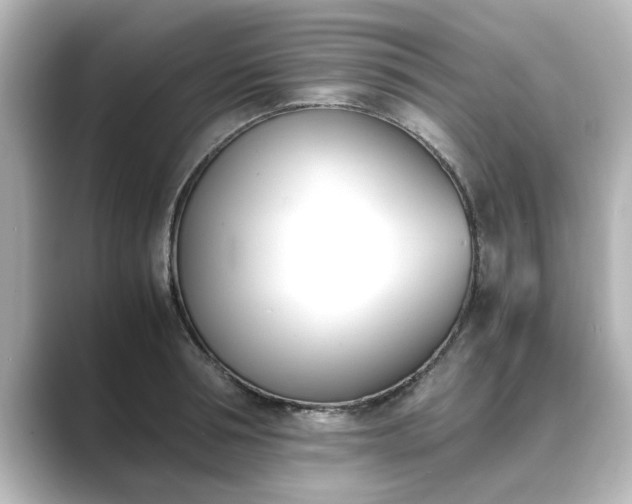 X0000089400994200706221114