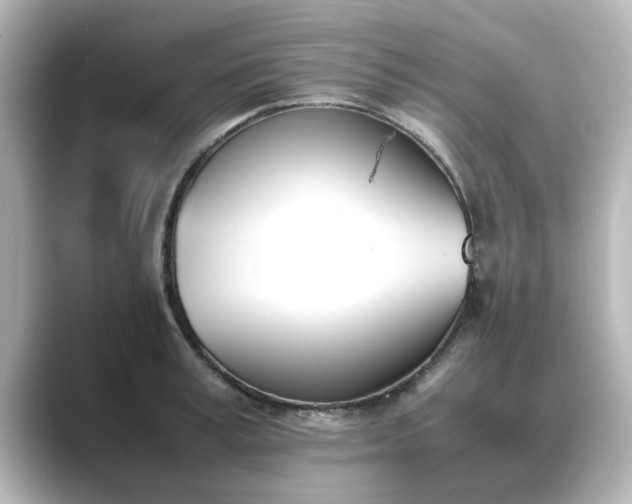 X0000089400995200706221114