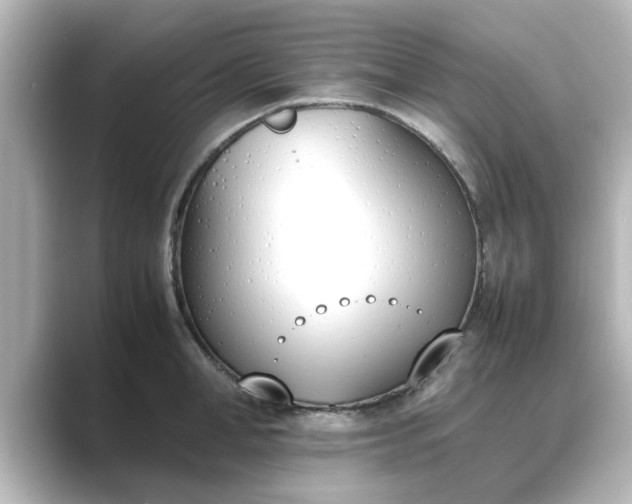 X0000089400998200706221114