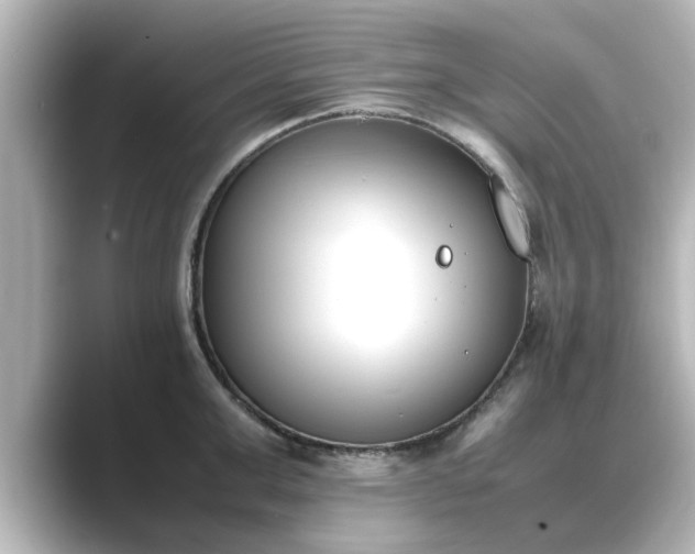 X0000089400999200706221114