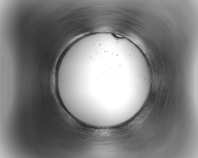 X0000089401000200706221114