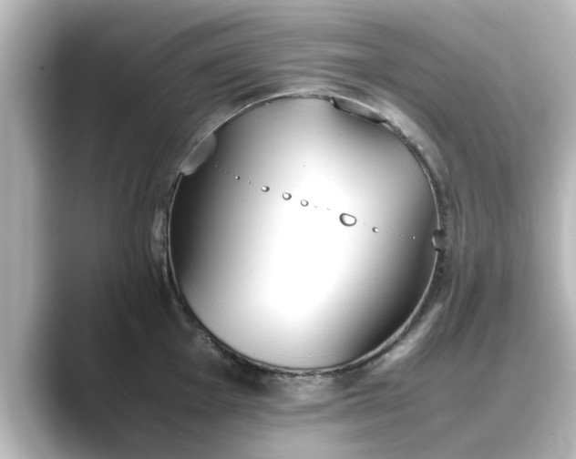 X0000089401001200706221114