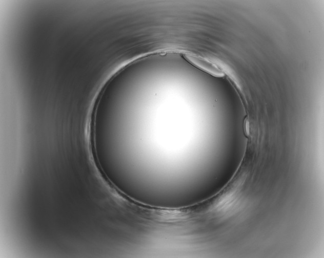 X0000089401007200706221114