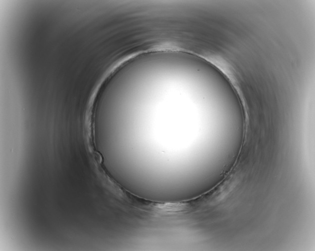 X0000089401008200706221114