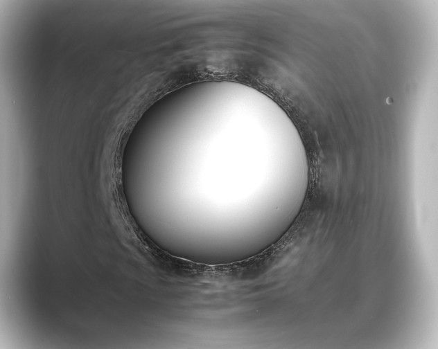 X0000089401009200706221113