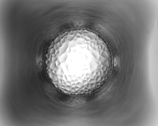 X0000089401011200706221113