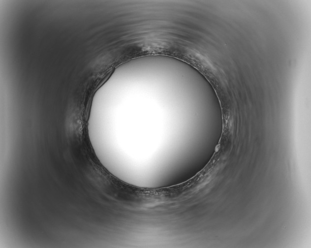 X0000089401012200706221113