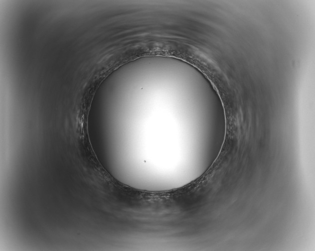 X0000089401013200706221113