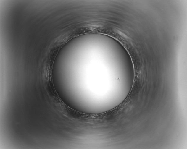 X0000089401014200706221113