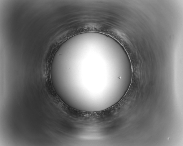 X0000089401015200706221113