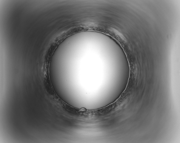 X0000089401016200706221113