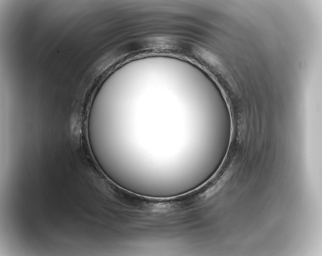 X0000089401017200706221113