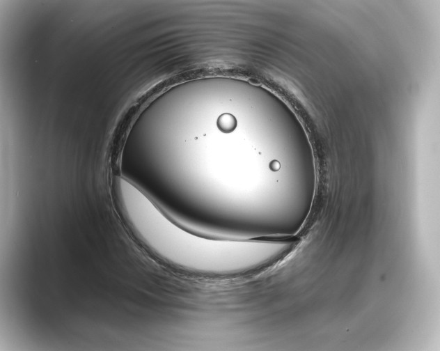 X0000089401018200706221113