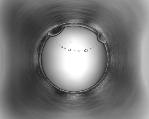 X0000089401019200706221113