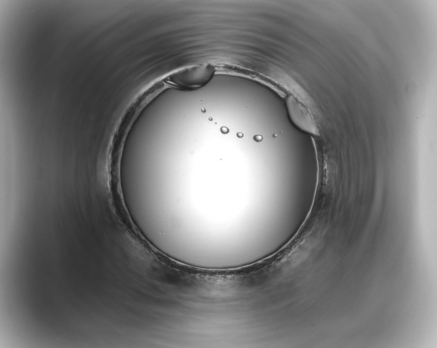 X0000089401020200706221113