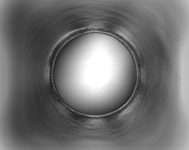 X0000089401021200706221113