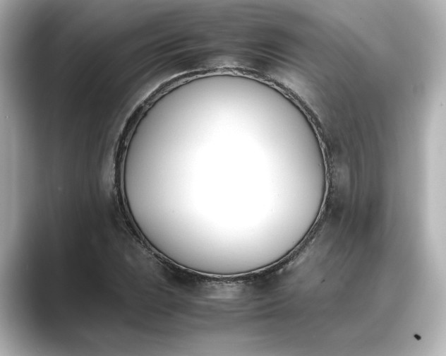 X0000089401023200706221114