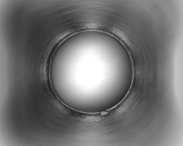 X0000089401026200706221114