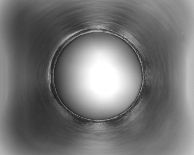 X0000089401028200706221114