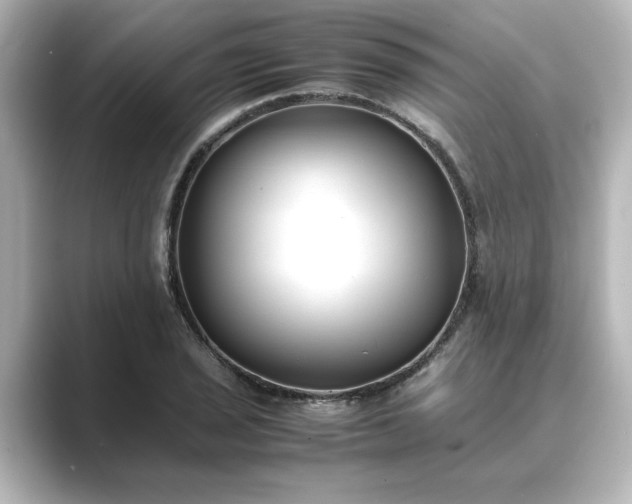 X0000089401029200706221114