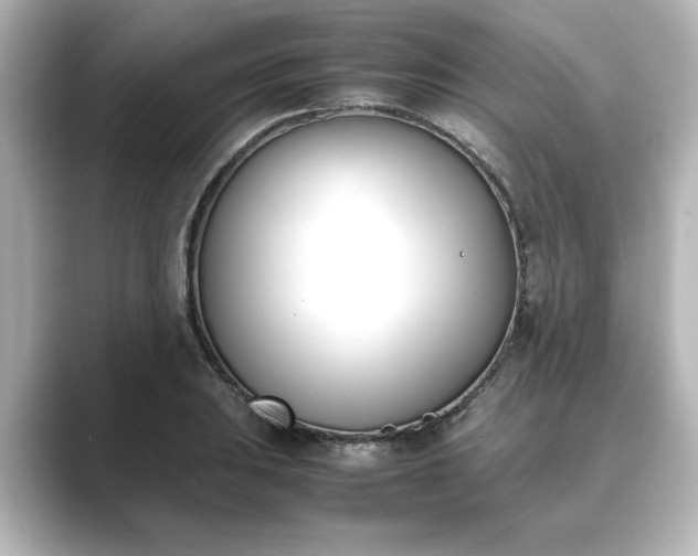 X0000089401031200706221114