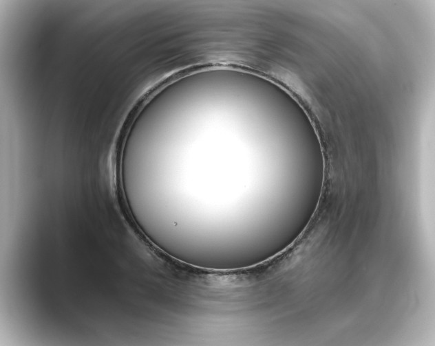 X0000089401032200706221114