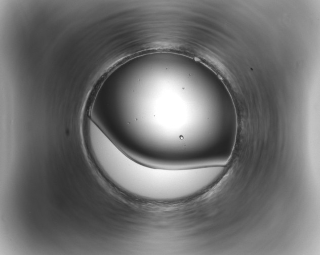 X0000089401034200706221114