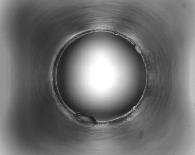 X0000089401038200706221114