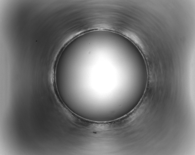 X0000089401040200706221114