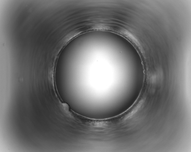 X0000089401041200706221114