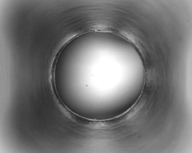 X0000089401042200706221114