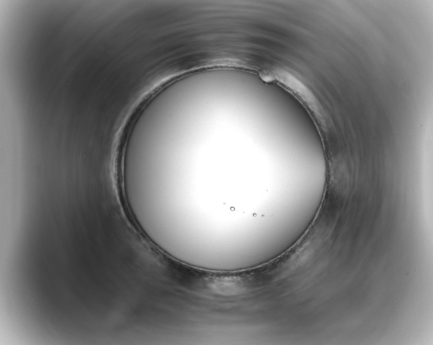 X0000089401043200706221114