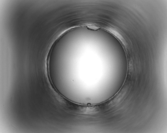 X0000089401047200706221114