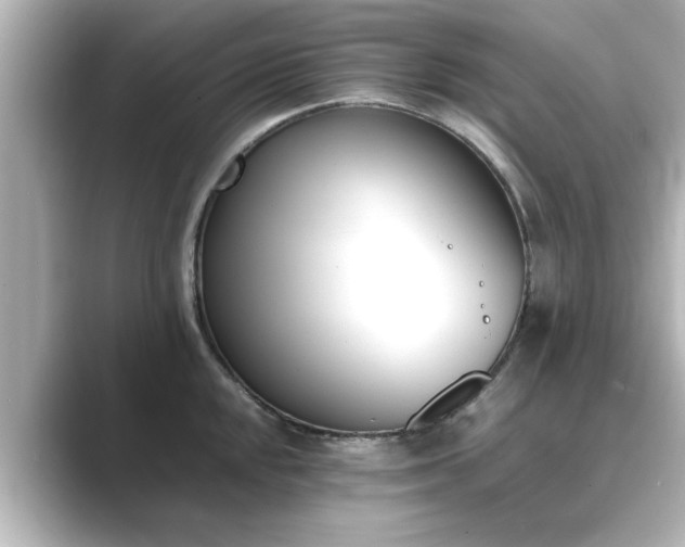 X0000089401048200706221114